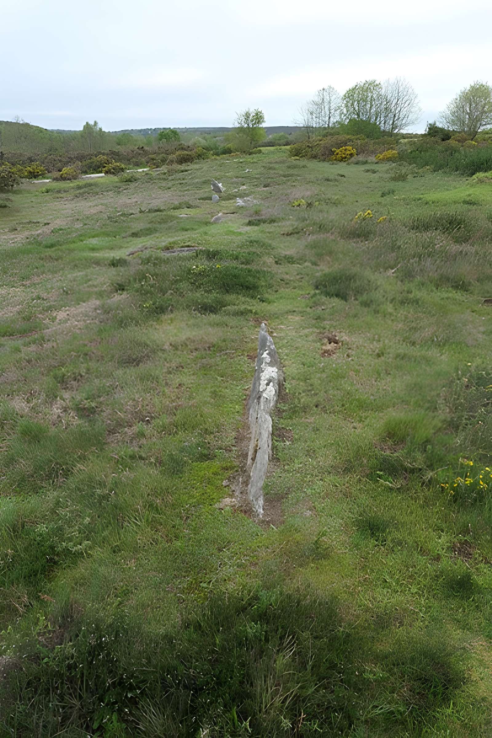 Alignements mégalithiques de Cojoux à Saint-Just