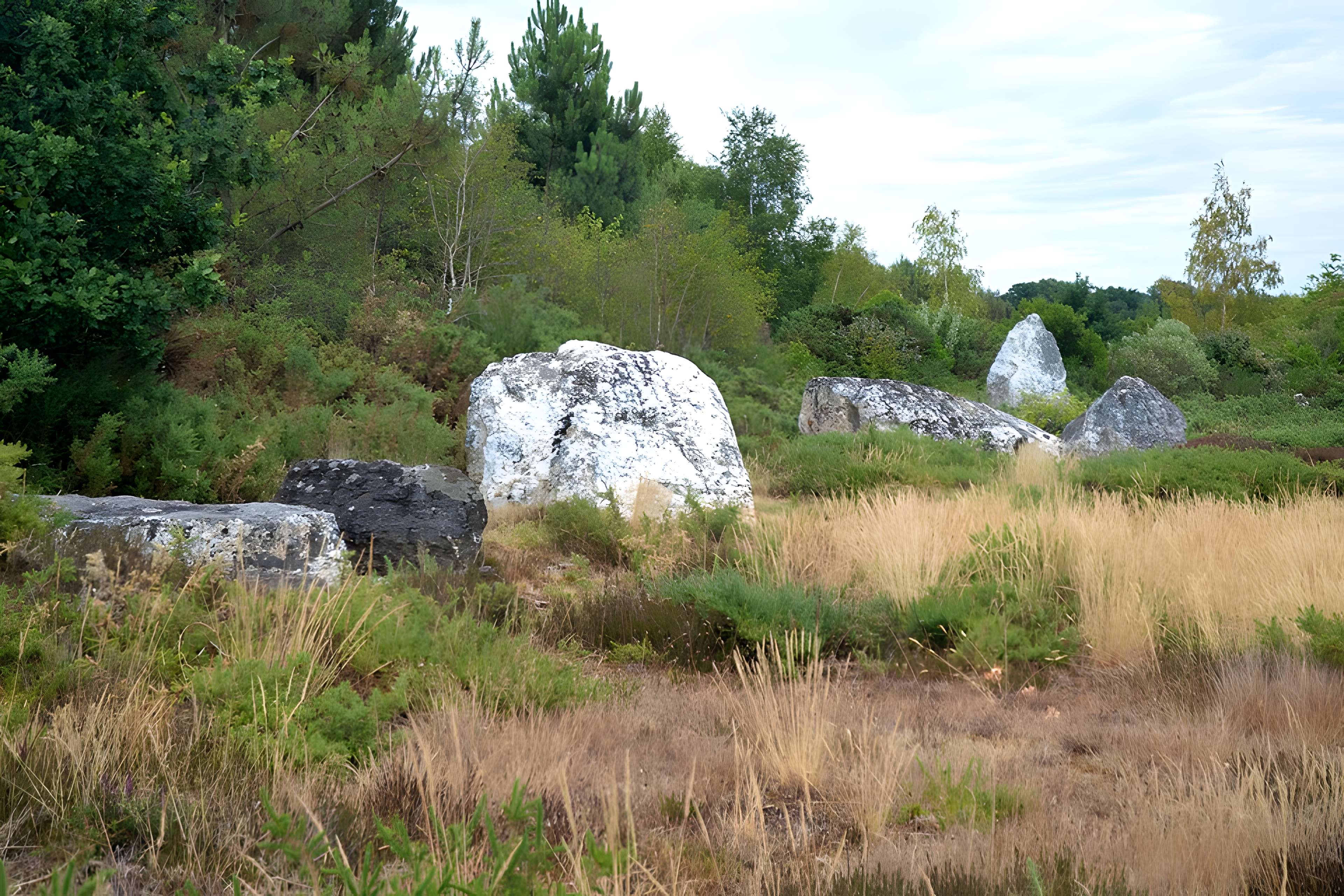Alignements mégalithiques de Cojoux à Saint-Just