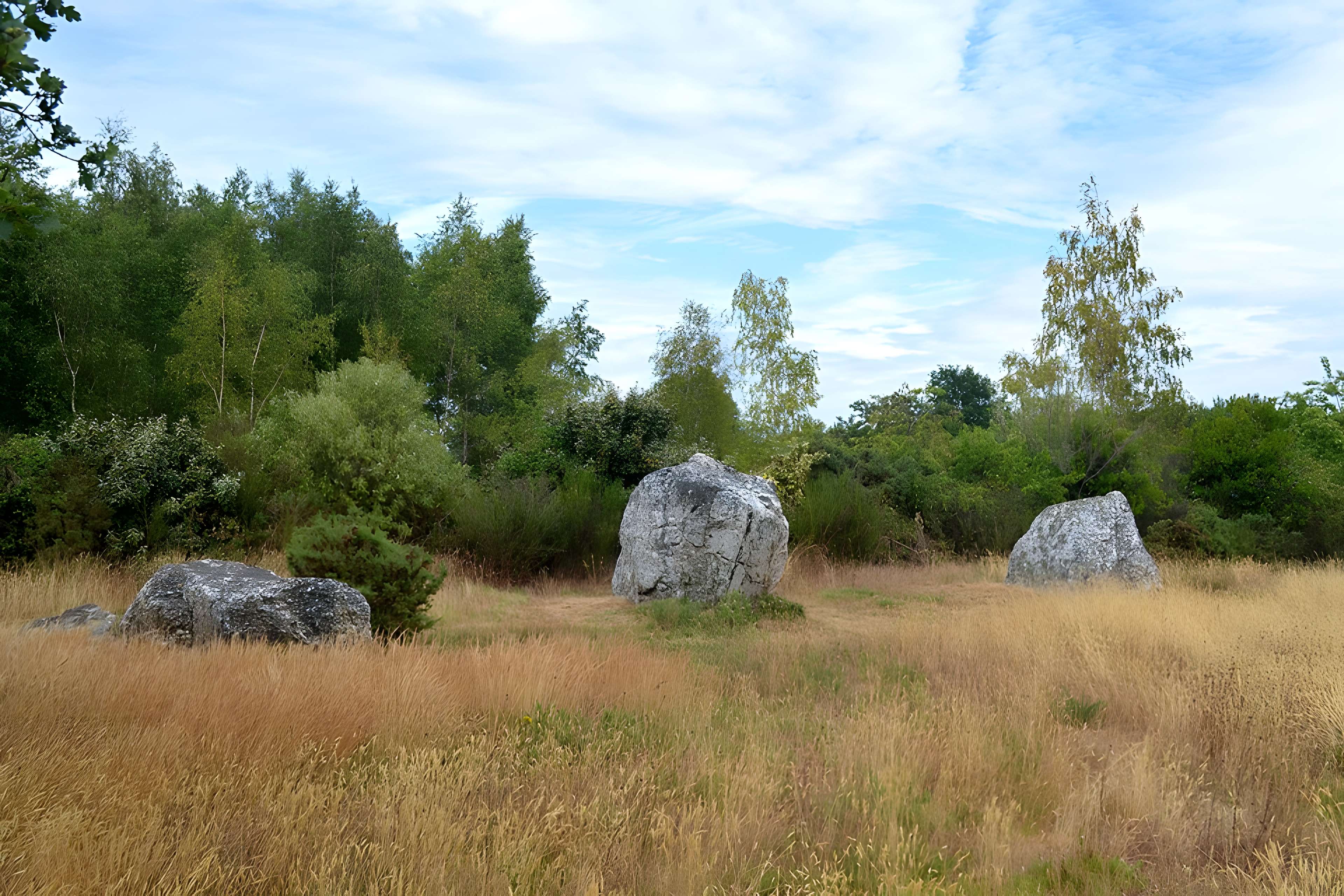 Alignements mégalithiques de Cojoux à Saint-Just