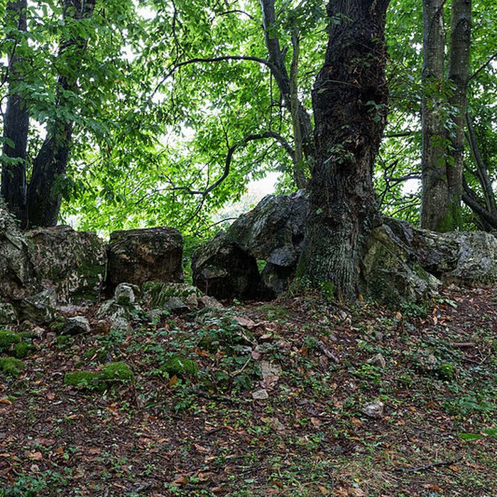 Photo de Allée couverte de Bel Evan à Plouër-sur-Rance