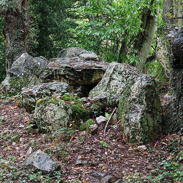 Photo de Allée couverte de Bel Evan à Plouër-sur-Rance