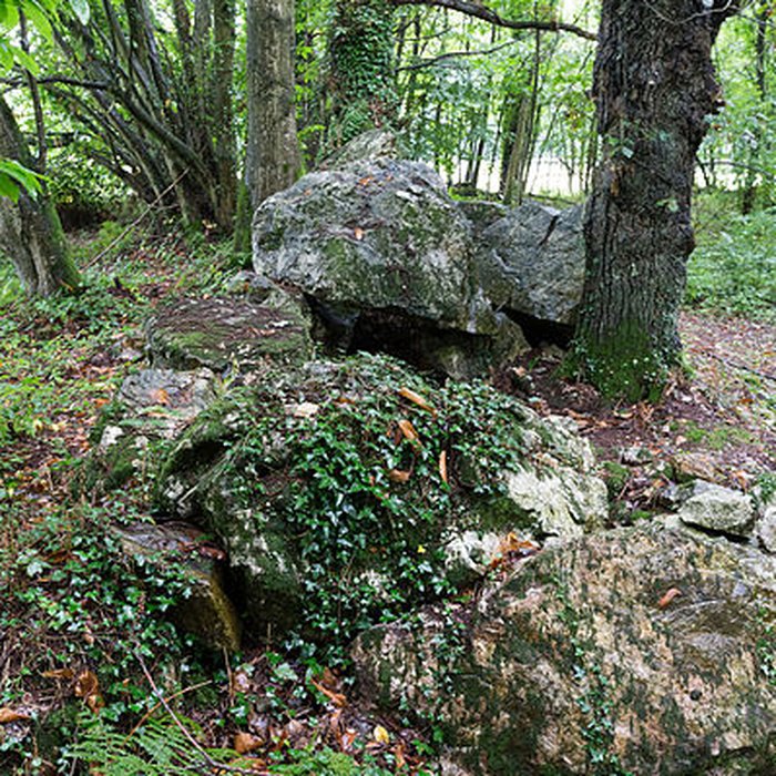 Photo de Allée couverte de Bel Evan à Plouër-sur-Rance