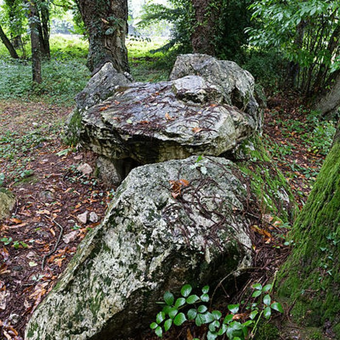 Photo de Allée couverte de Bel Evan à Plouër-sur-Rance