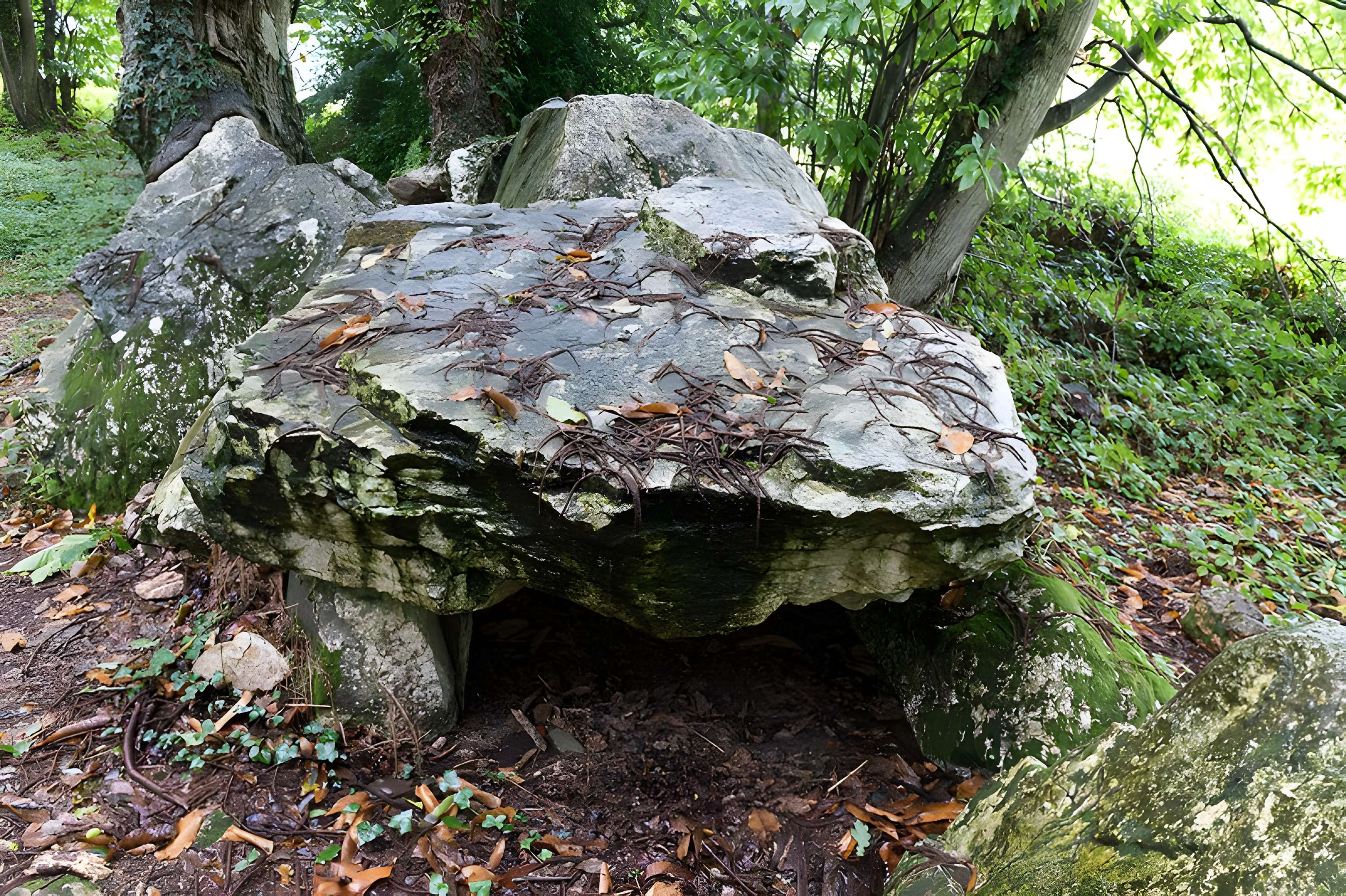 Allée couverte de Bel Evan à Plouër-sur-Rance 