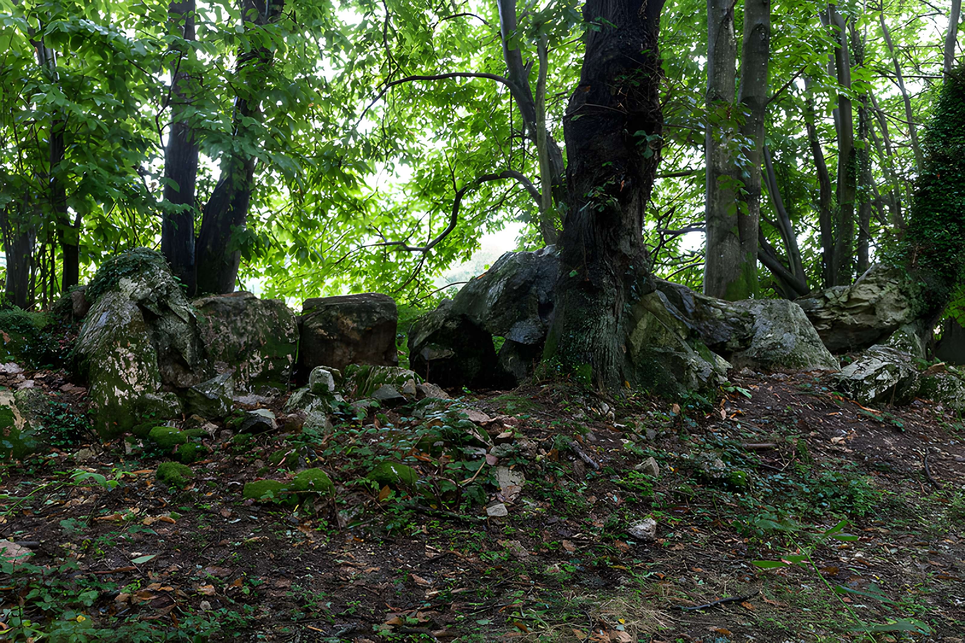 Allée couverte de Bel Evan à Plouër-sur-Rance