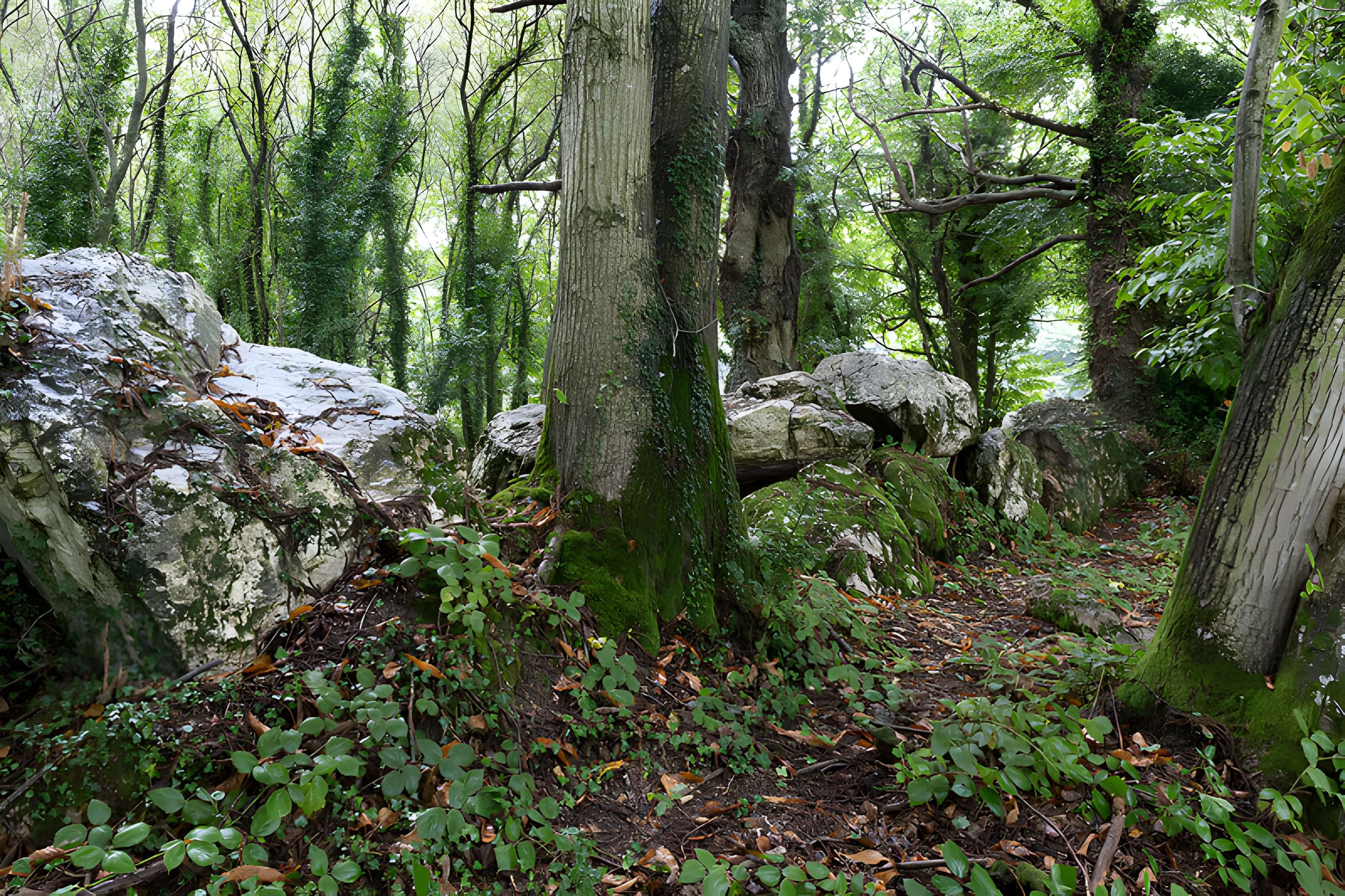 Allée couverte de Bel Evan à Plouër-sur-Rance