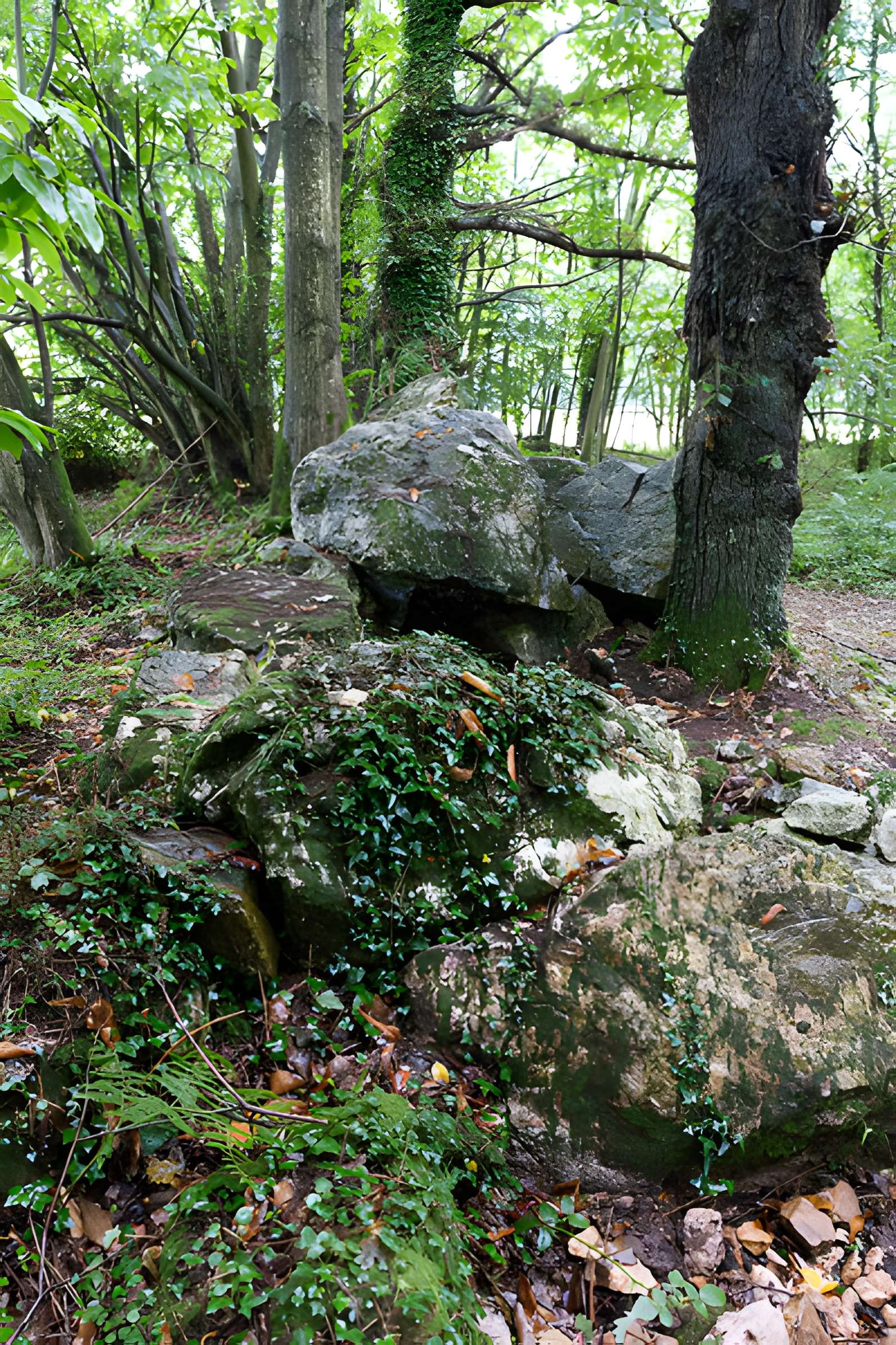 Allée couverte de Bel Evan à Plouër-sur-Rance