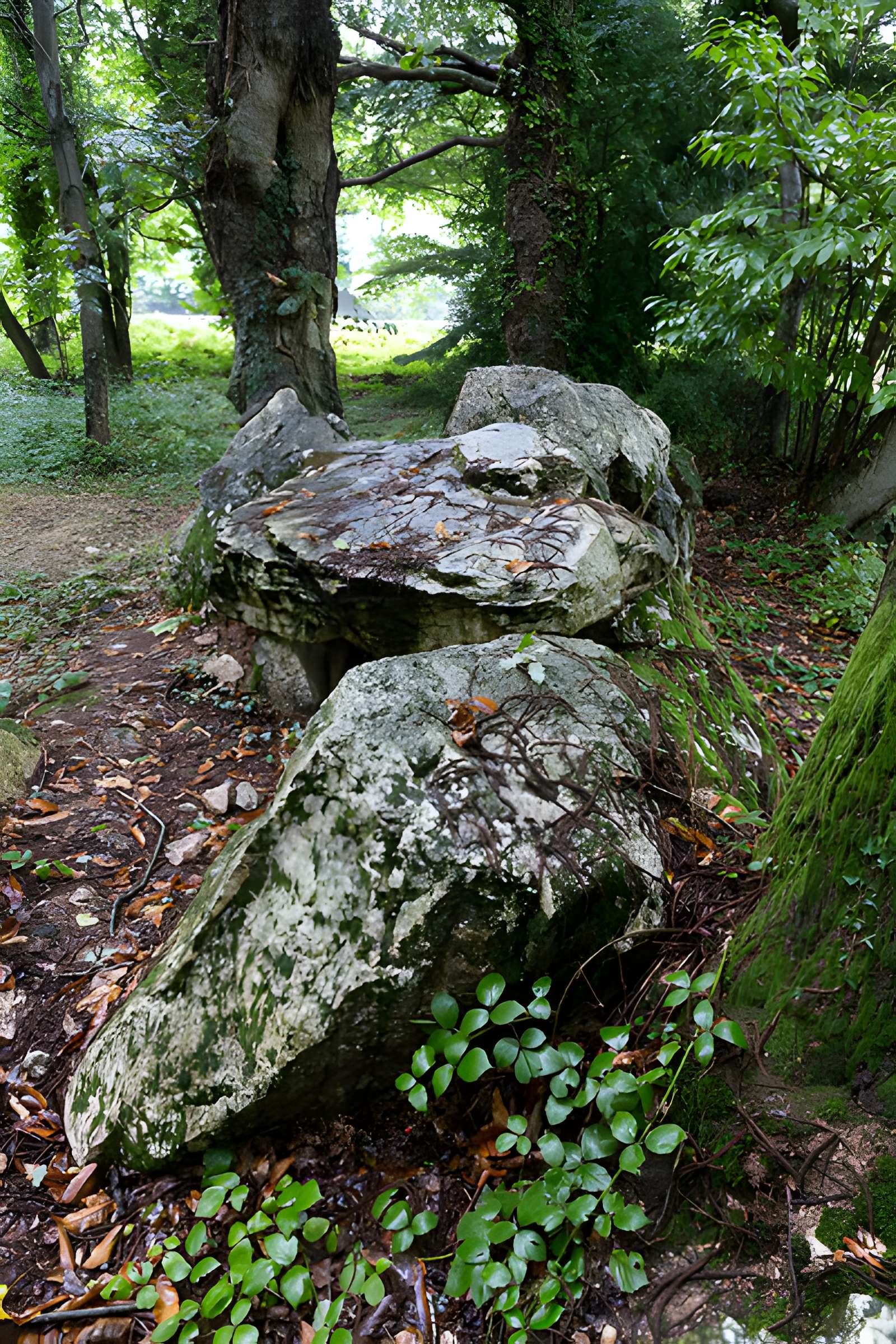 Allée couverte de Bel Evan à Plouër-sur-Rance