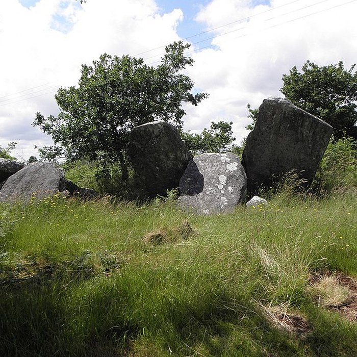 Photo de Allée couverte de Castel-Ruffel à Saint-Goazec