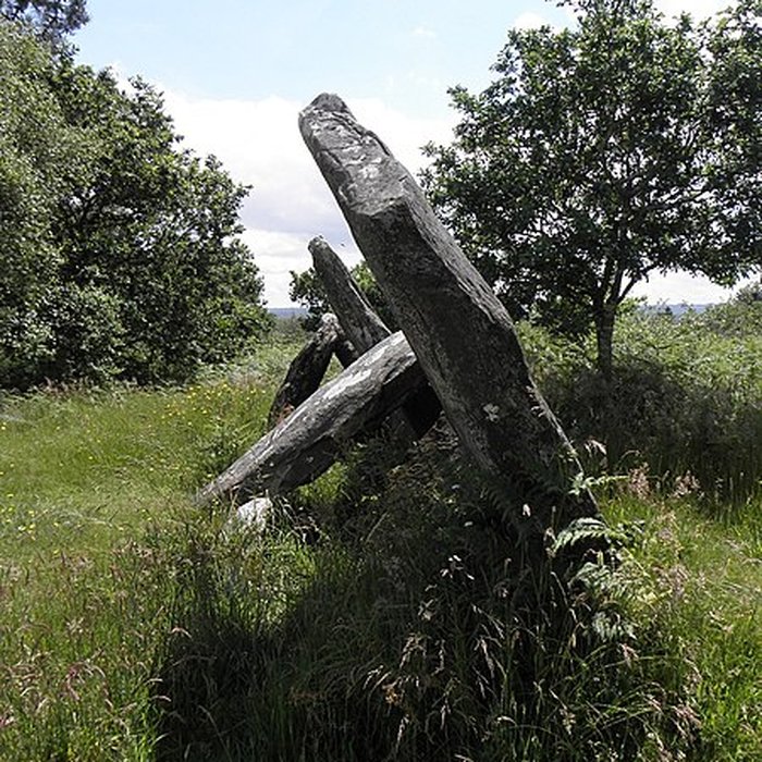 Photo de Allée couverte de Castel-Ruffel à Saint-Goazec