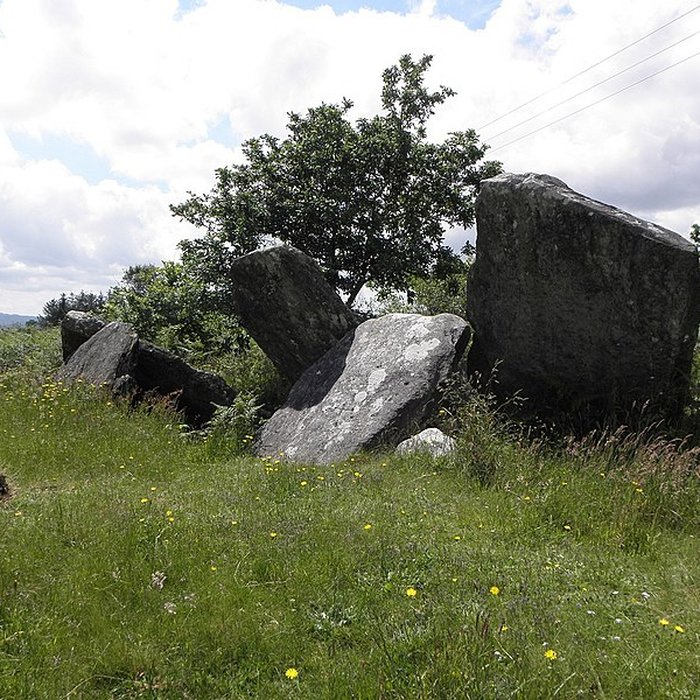 Photo de Allée couverte de Castel-Ruffel à Saint-Goazec