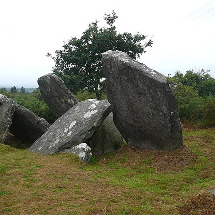 Photo de Allée couverte de Castel-Ruffel à Saint-Goazec