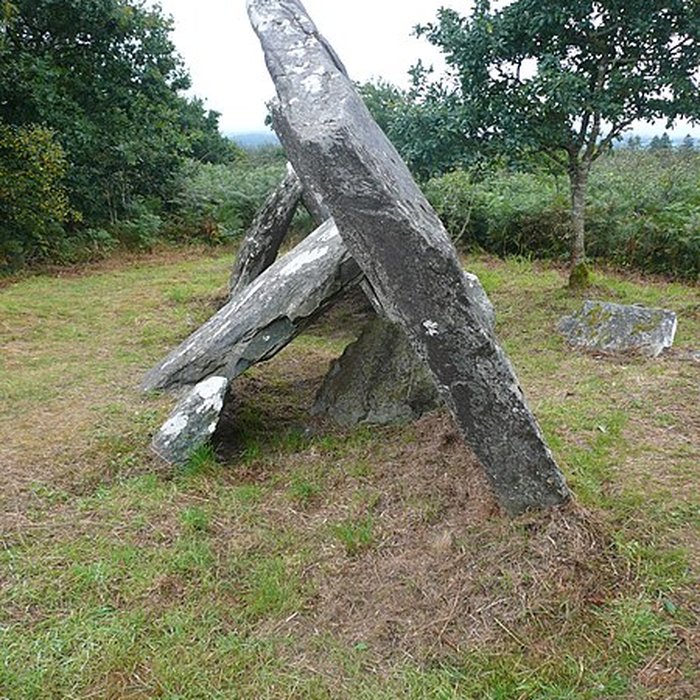 Photo de Allée couverte de Castel-Ruffel à Saint-Goazec