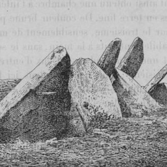 Photo de Allée couverte de Castel-Ruffel à Saint-Goazec