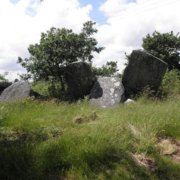 allee couverte de castel ruffel a saint goazec