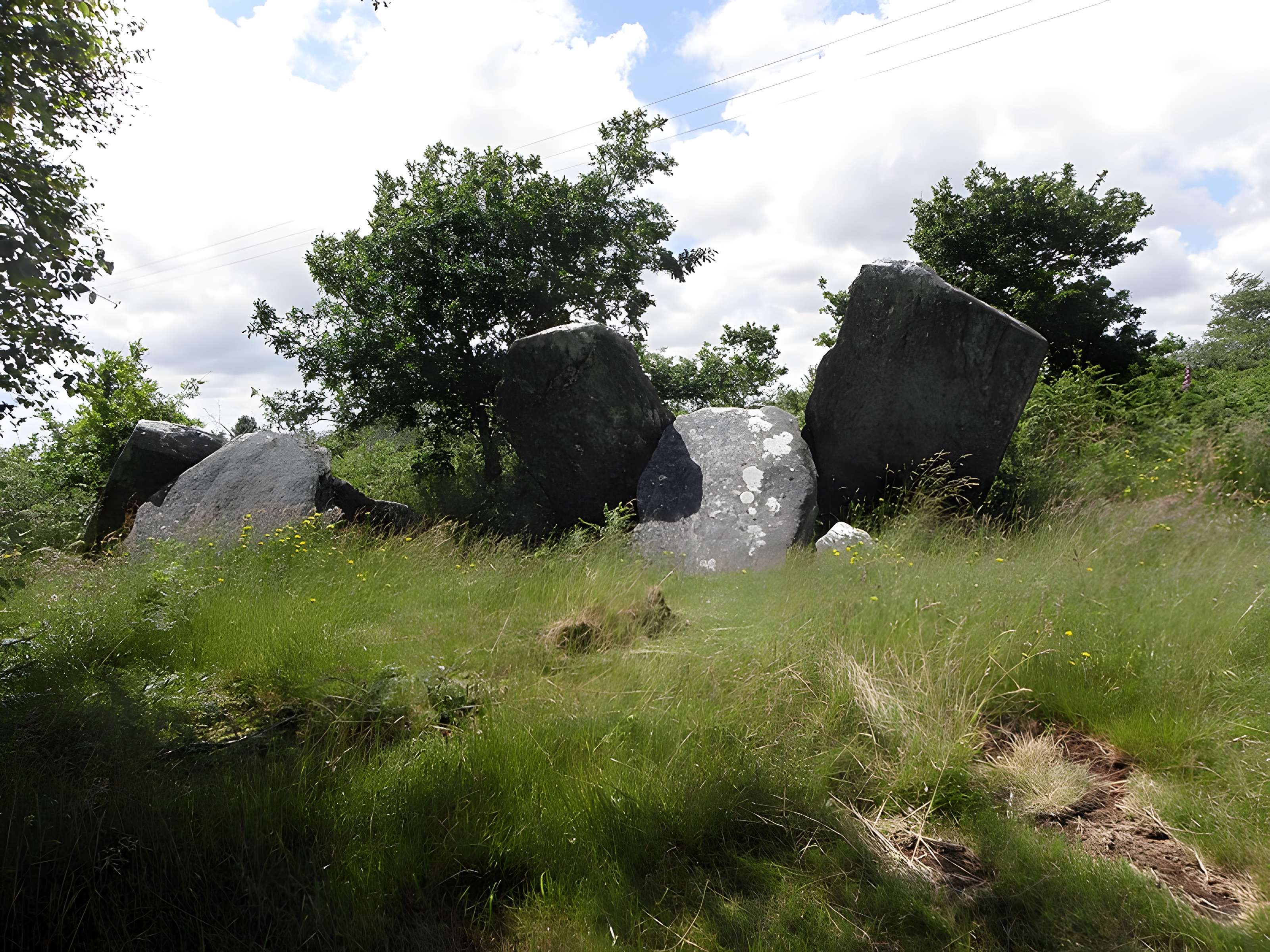 Allée couverte de Castel-Ruffel à Saint-Goazec