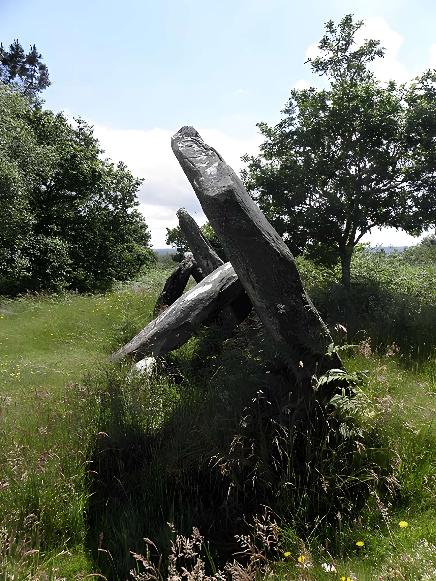 Allée couverte de Castel-Ruffel à Saint-Goazec