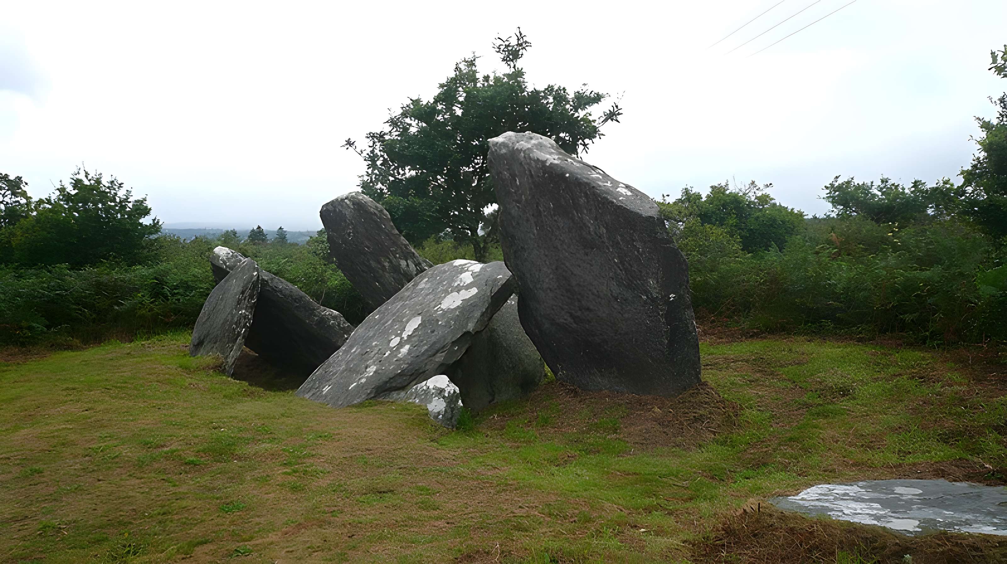 Allée couverte de Castel-Ruffel à Saint-Goazec
