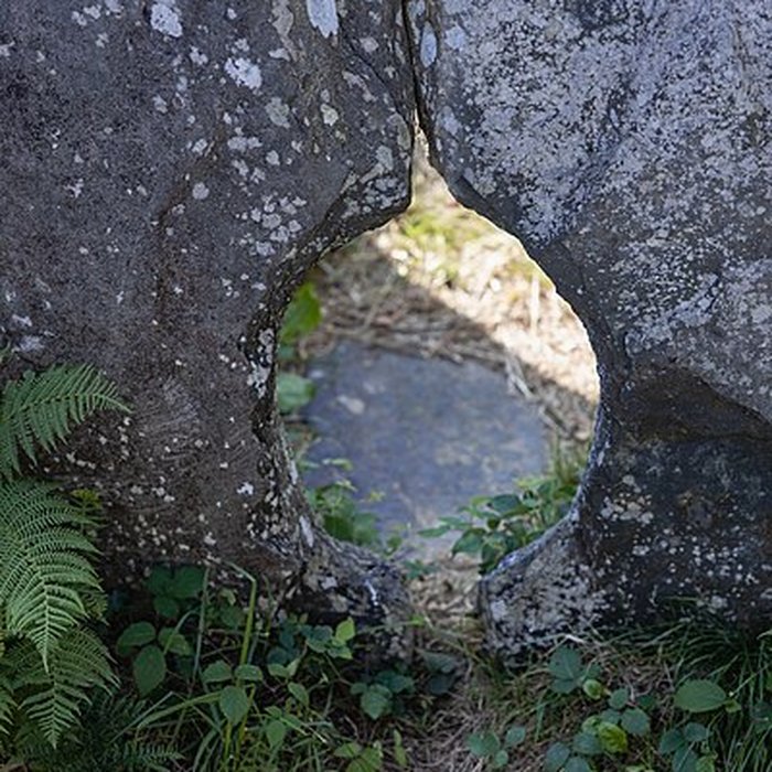Photo de Allée couverte de Coët Correc à Mûr-de-Bretagne