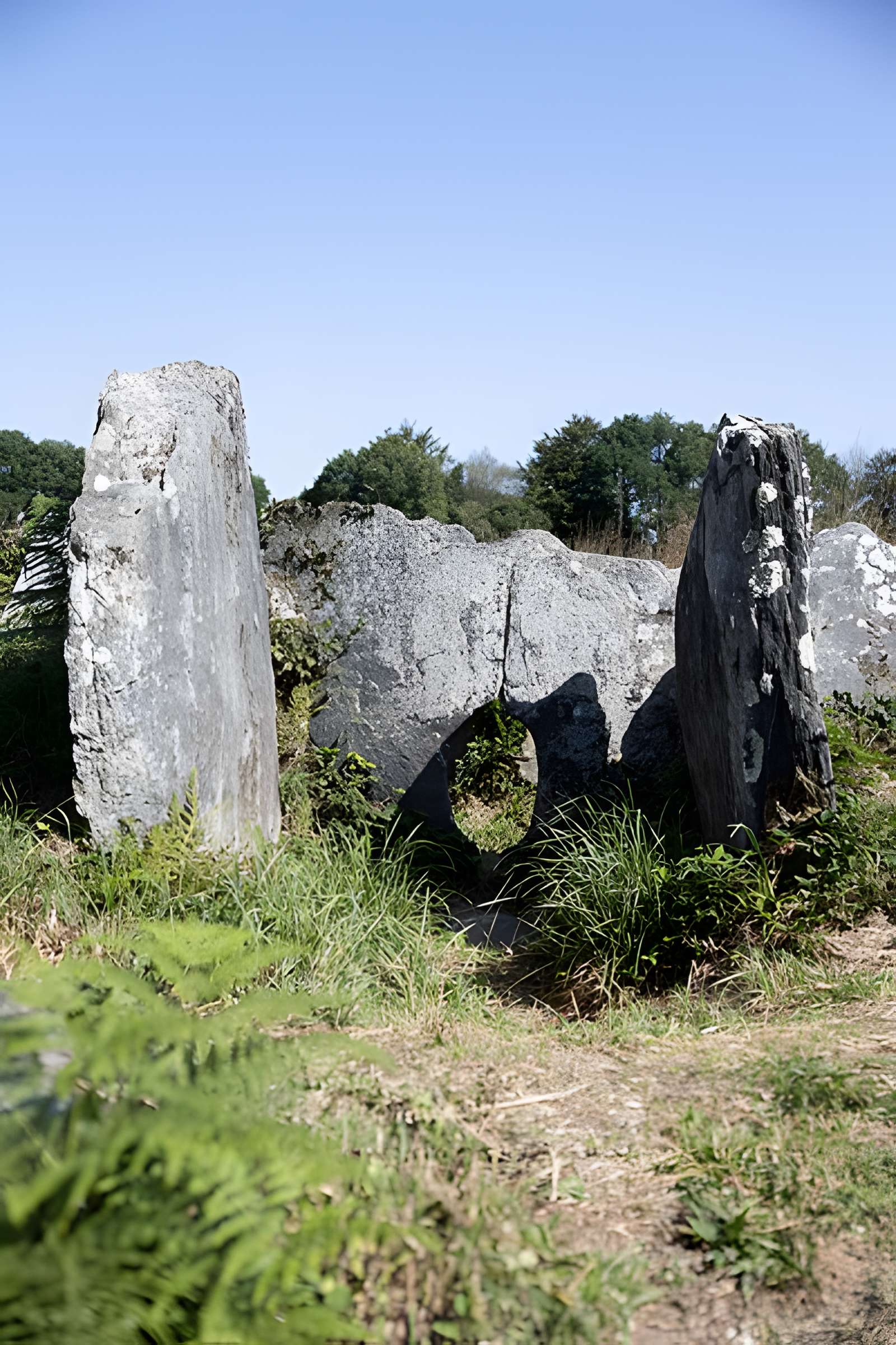 Allée couverte de Coët Correc à Mûr-de-Bretagne
