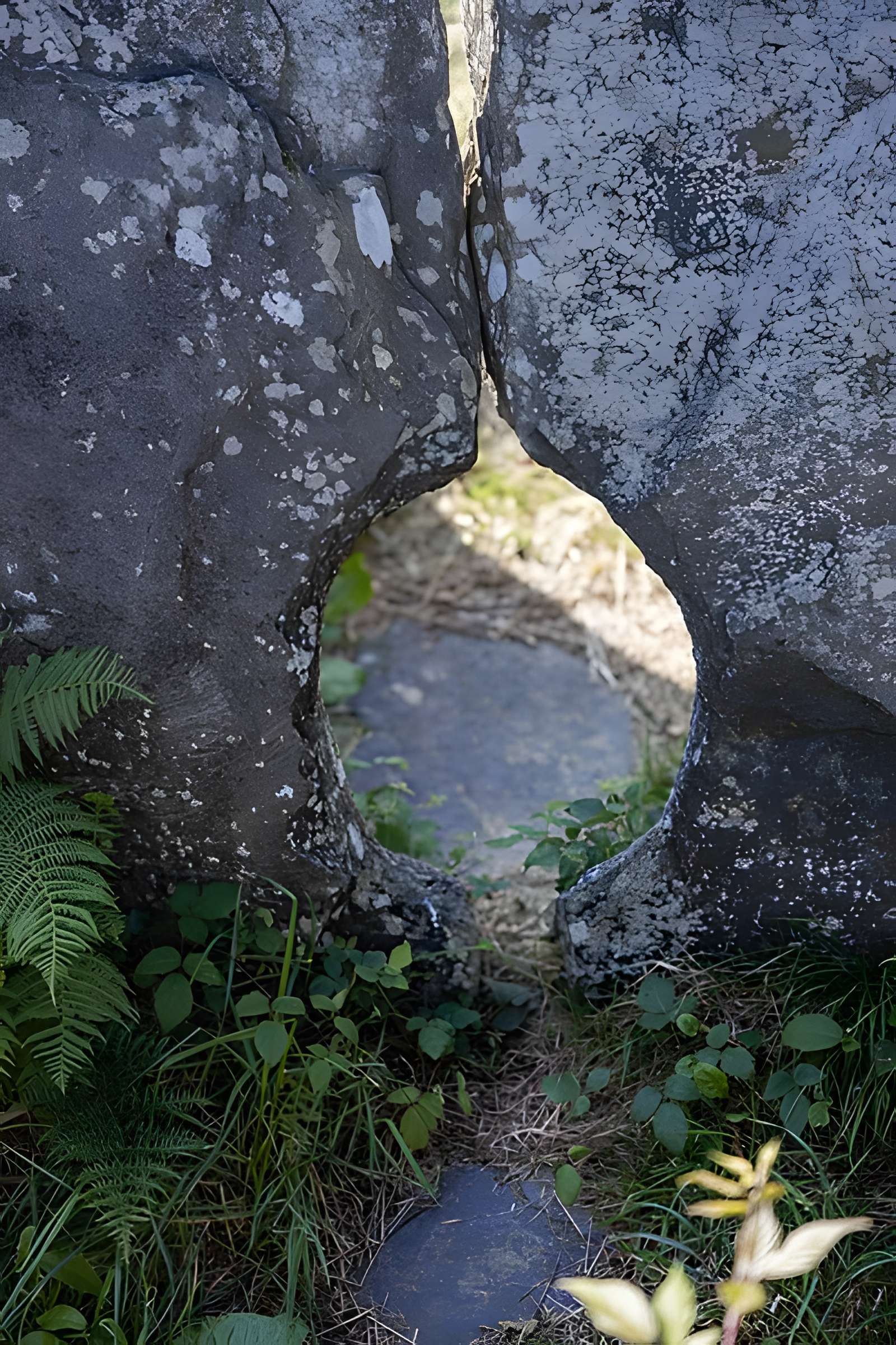 Allée couverte de Coët Correc à Mûr-de-Bretagne