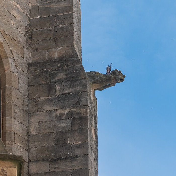 Photo de Collégiale Saint-Paul de Clermont-lHérault