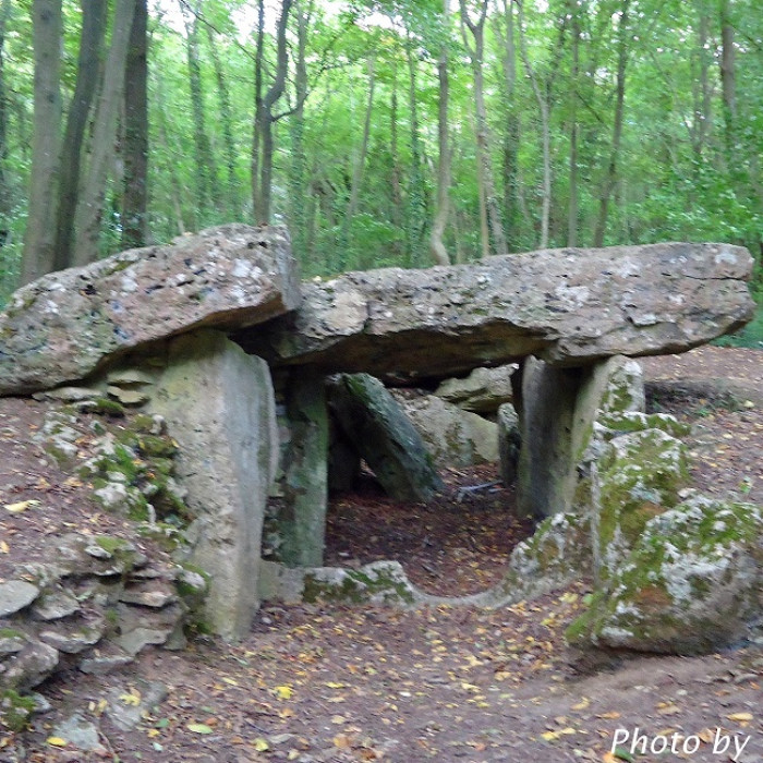 Photo de Allée couverte de Dampsmesnil
