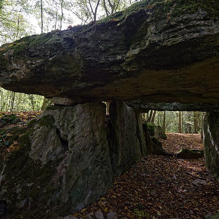 Photo de Allée couverte de Dampsmesnil