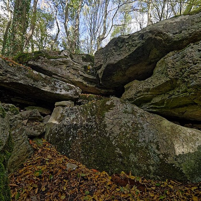 Photo de Allée couverte de Dampsmesnil