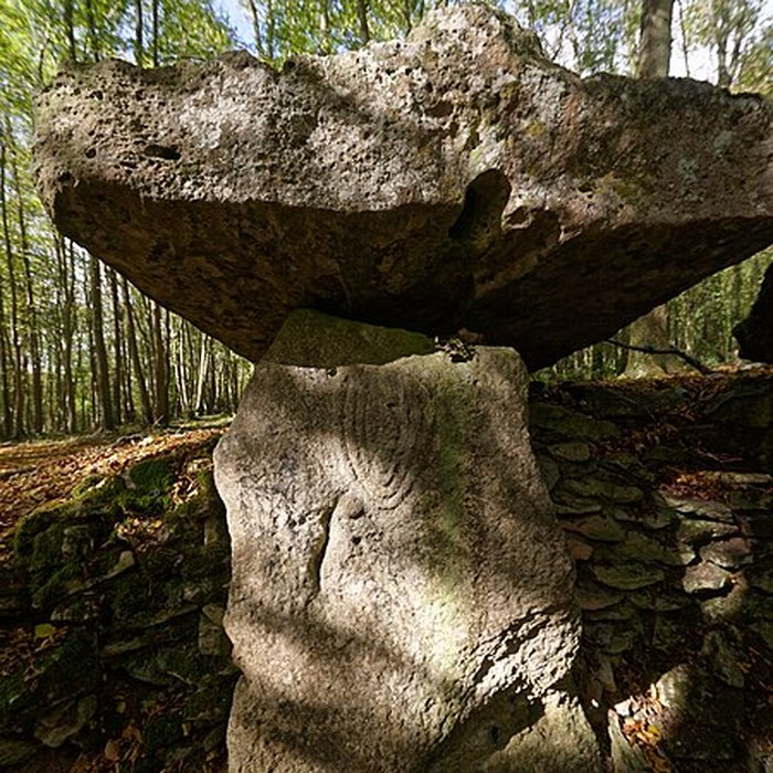 Photo de Allée couverte de Dampsmesnil