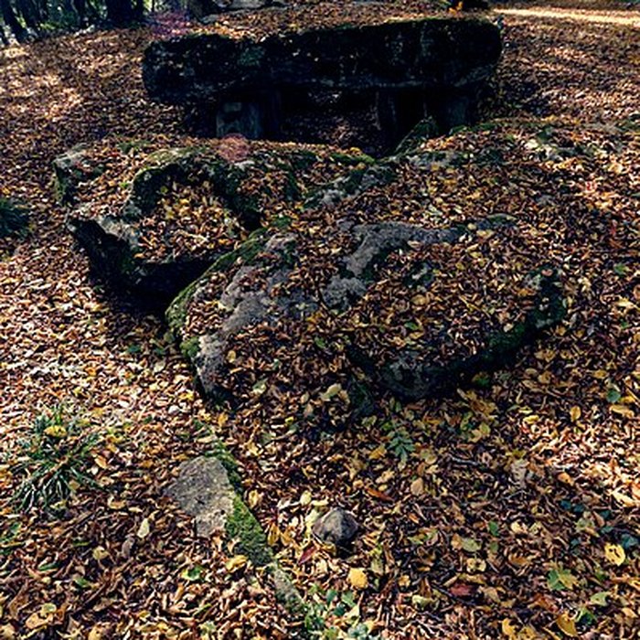 Photo de Allée couverte de Dampsmesnil