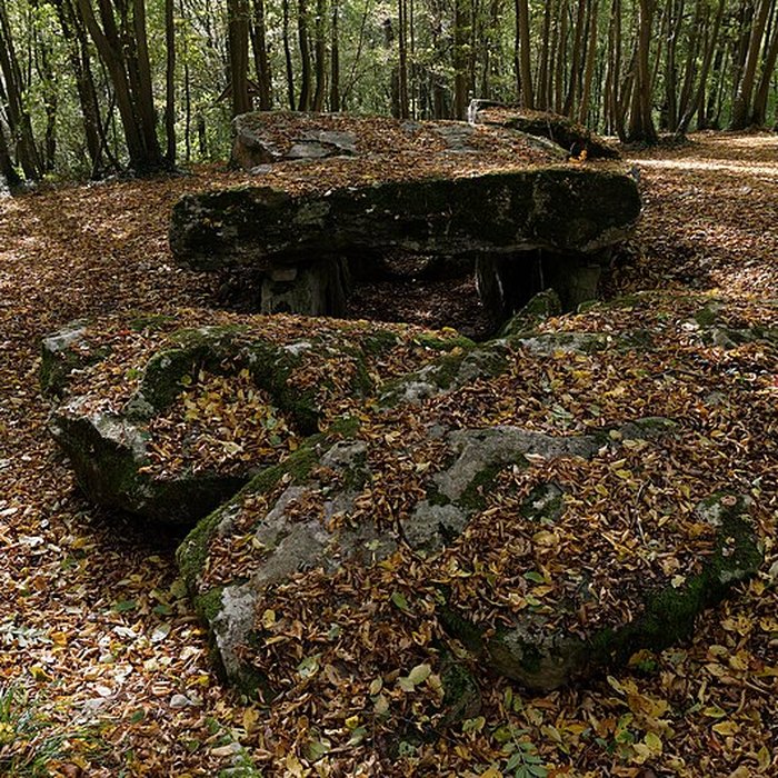 Photo de Allée couverte de Dampsmesnil