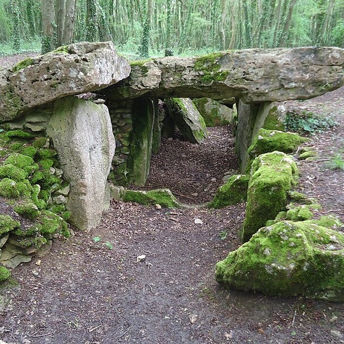 Photo de Allée couverte de Dampsmesnil