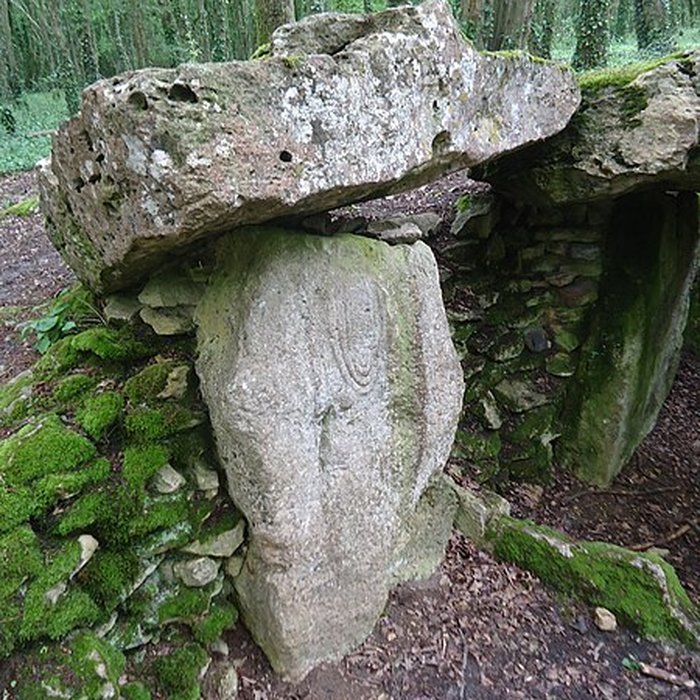 Photo de Allée couverte de Dampsmesnil