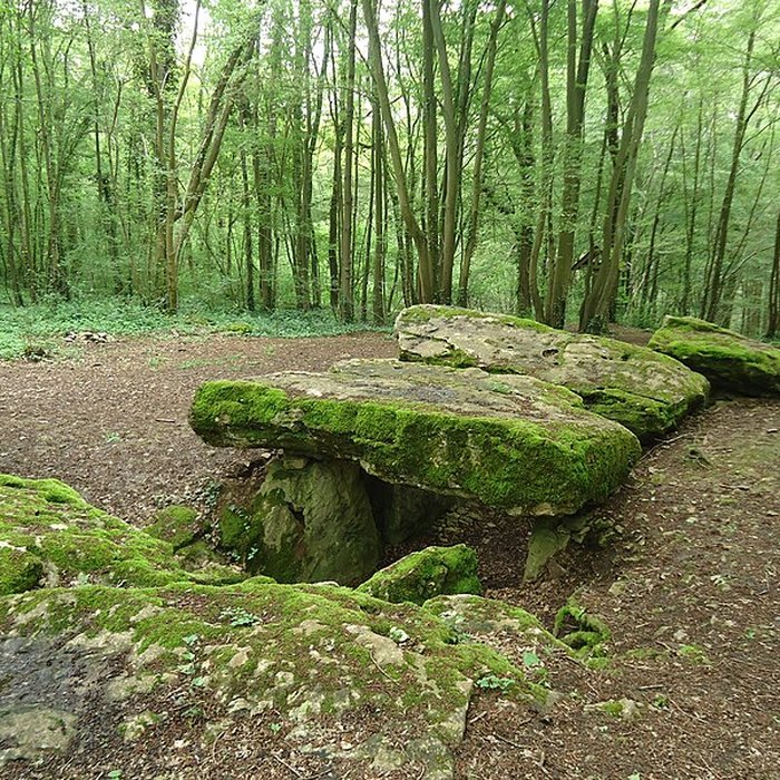 Photo de Allée couverte de Dampsmesnil
