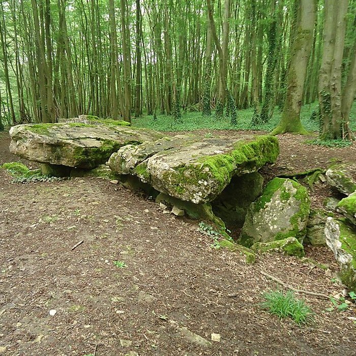 Photo de Allée couverte de Dampsmesnil