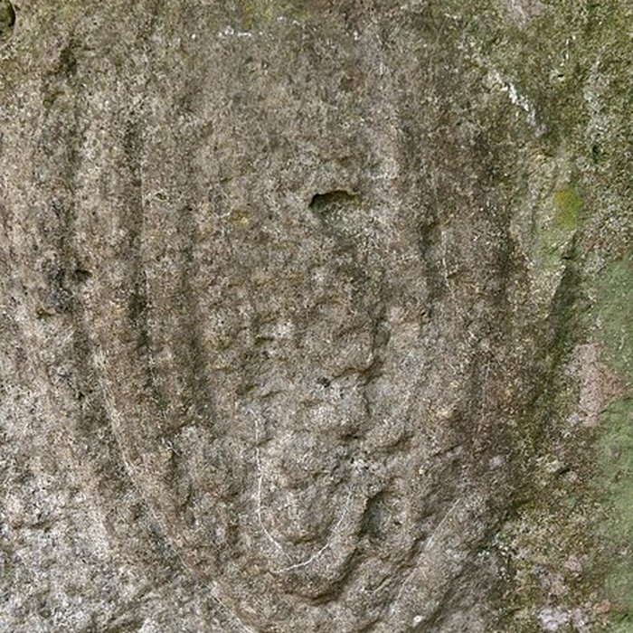 Photo de Allée couverte de Dampsmesnil