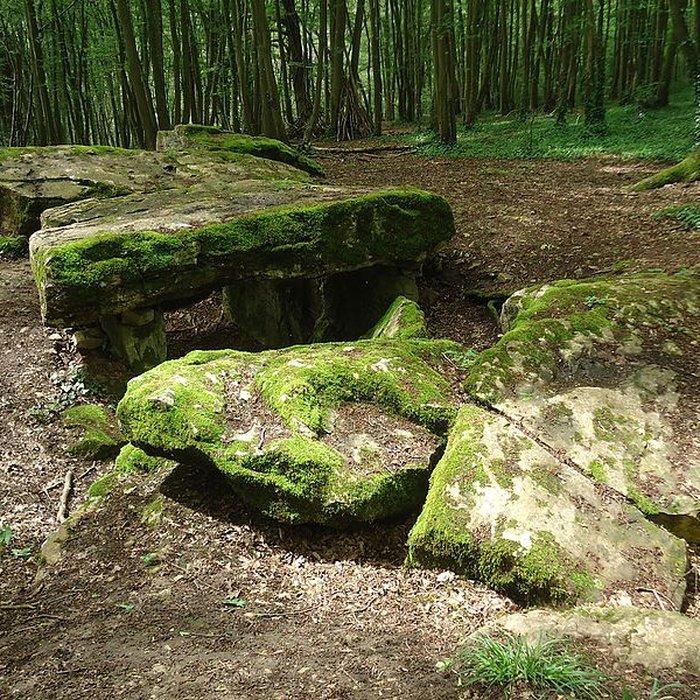 Photo de Allée couverte de Dampsmesnil