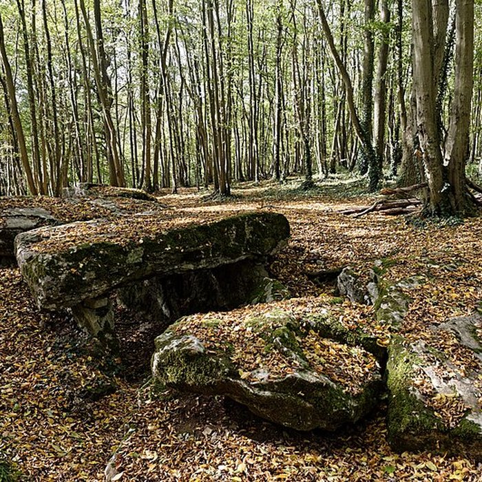 Photo de Allée couverte de Dampsmesnil