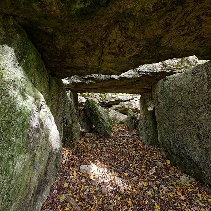 Photo de Allée couverte de Dampsmesnil