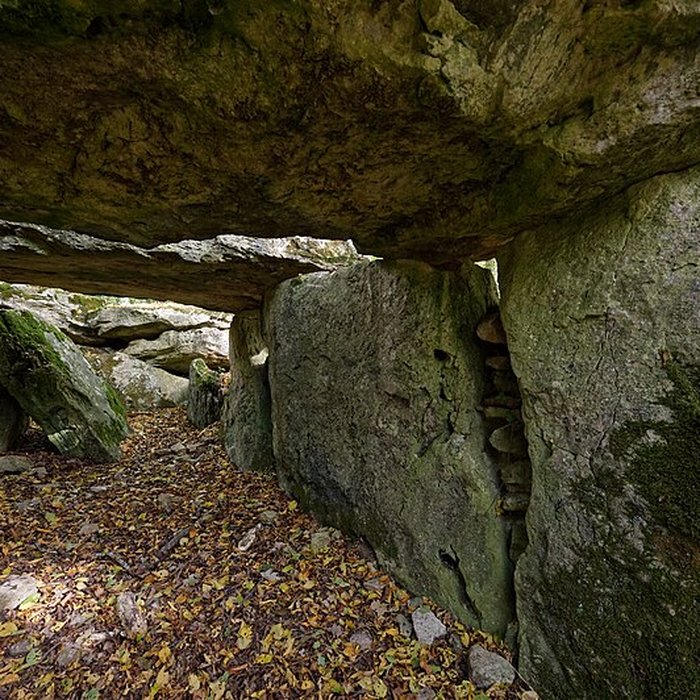 Photo de Allée couverte de Dampsmesnil