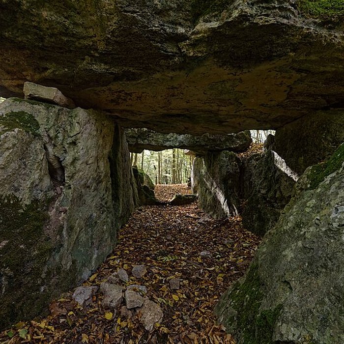 Photo de Allée couverte de Dampsmesnil