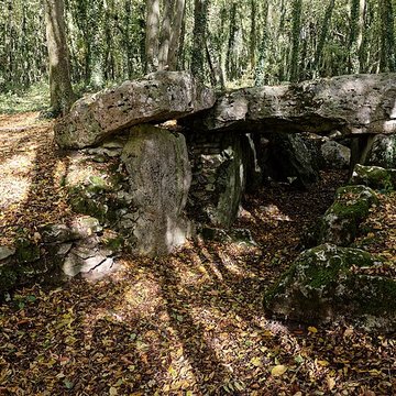 Allée couverte de Dampsmesnil