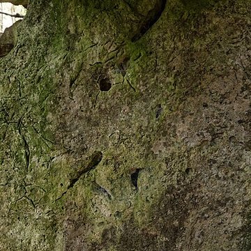 Allée couverte de Dampsmesnil