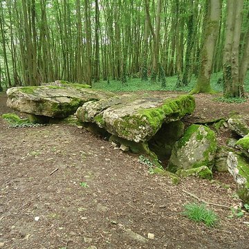 Allée couverte de Dampsmesnil