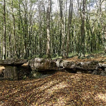 Allée couverte de Dampsmesnil
