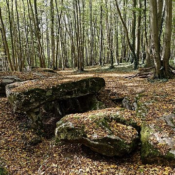 Allée couverte de Dampsmesnil