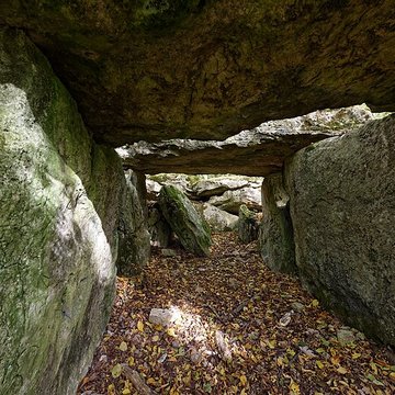 Allée couverte de Dampsmesnil