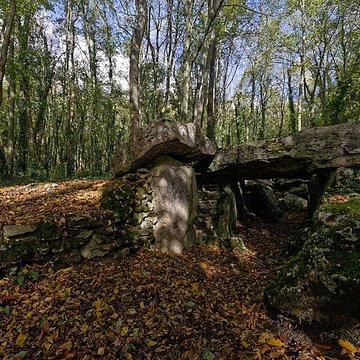 Allée couverte de Dampsmesnil