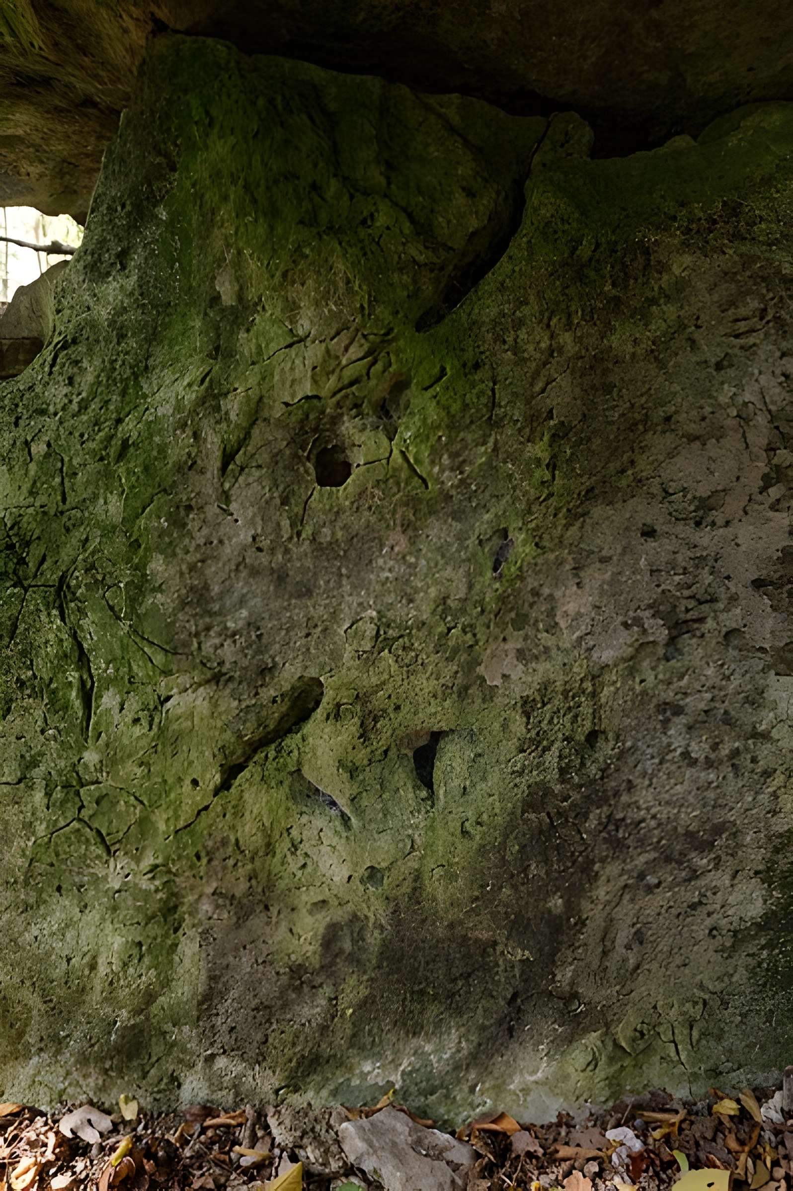 Allée couverte de Dampsmesnil